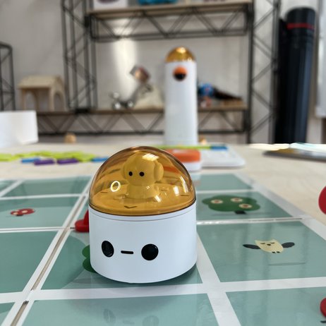 Matatalab Roboter auf Robotermatte